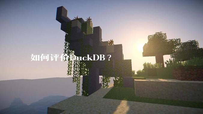 如何评价DuckDB?