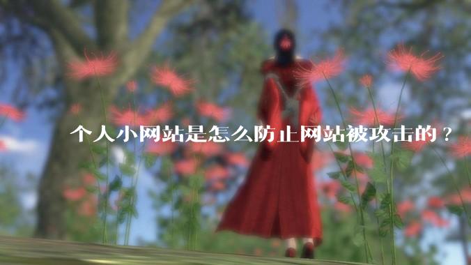 个人小网站是怎么防止网站被攻击的?