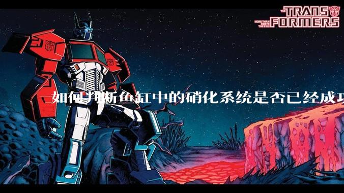 如何判断鱼缸中的硝化系统是否已经成功建立？