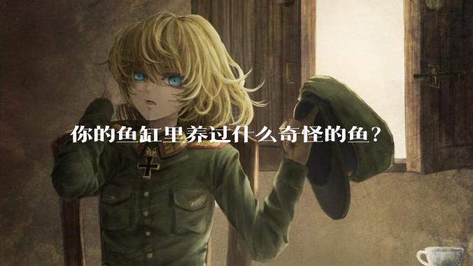 你的鱼缸里养过什么奇怪的鱼？