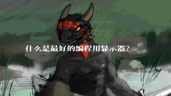 什么是最好的编程用显示器？